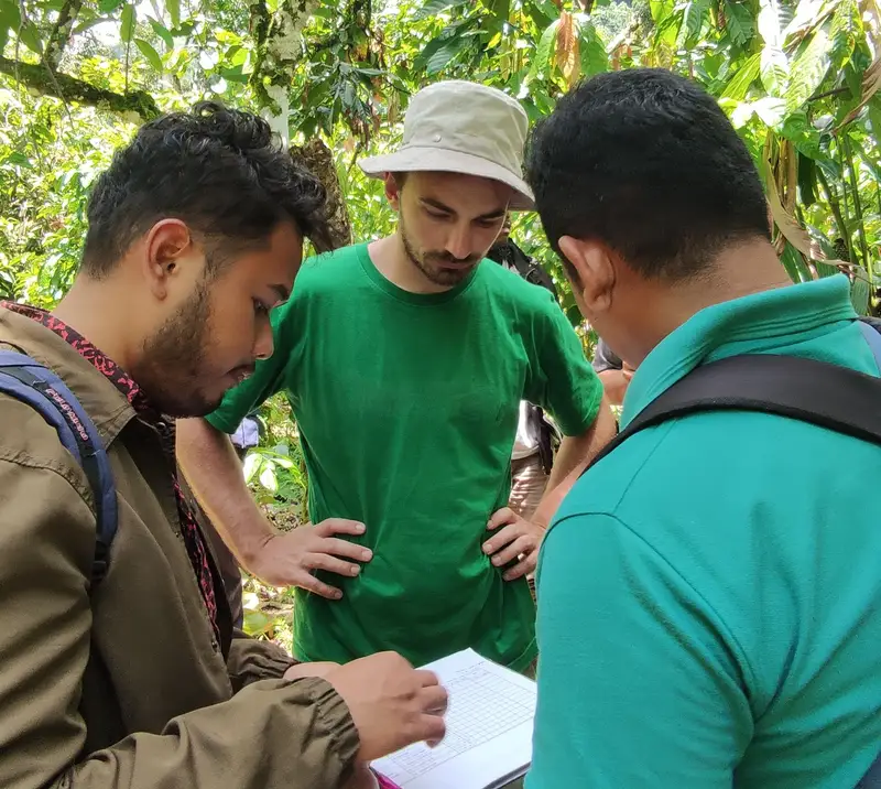 Luca Fischer with two field staff checking a farm data form in a cocoa plot in Indonesia